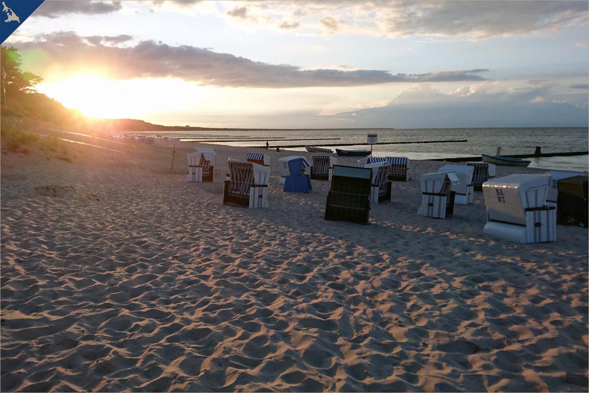 Nur 100M Zum Strand Fewo Seebrise 109 By Pro Home Appartements Zempin Eksteriør bilde