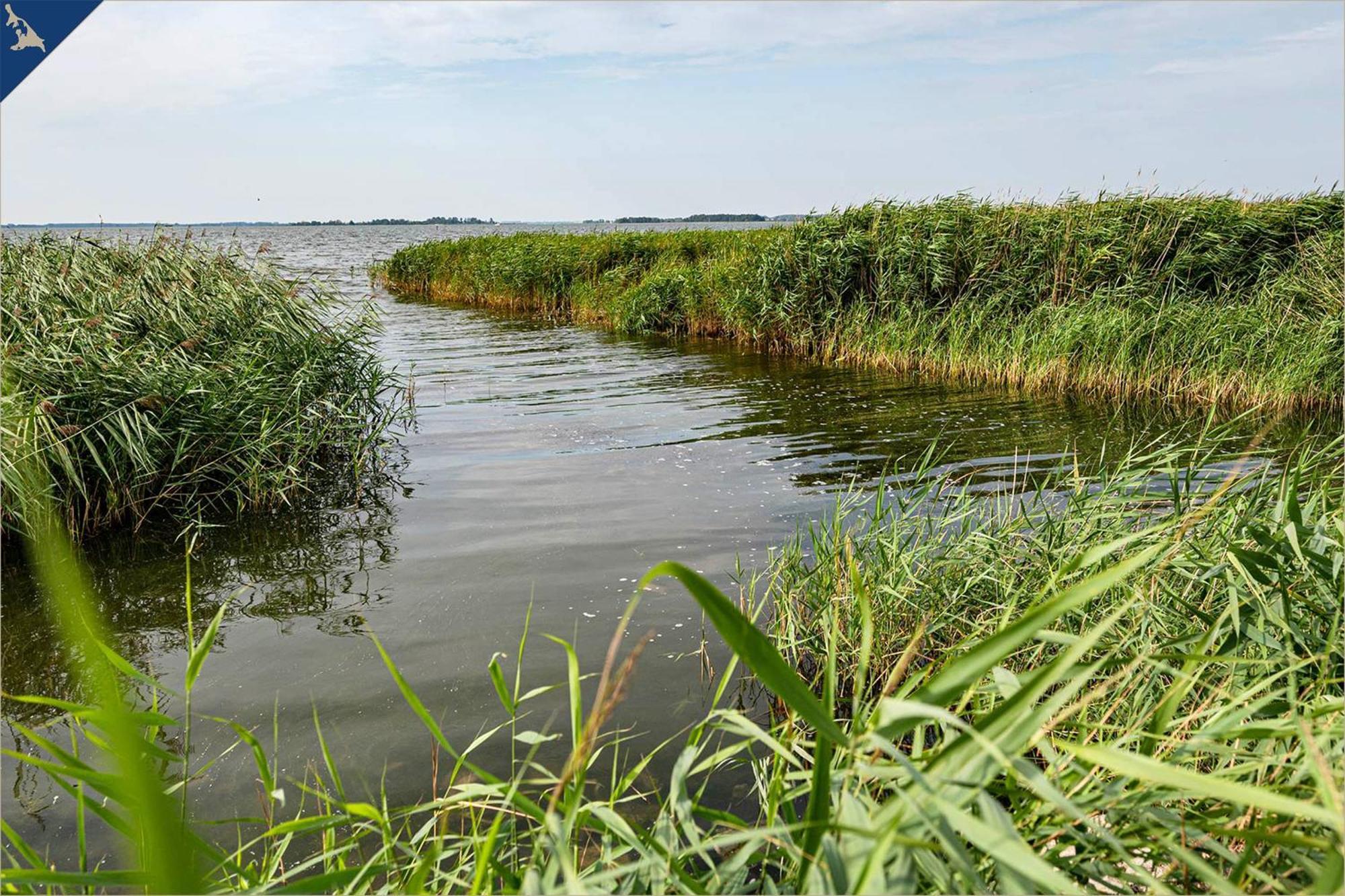 Nur 100M Zum Strand Fewo Seebrise 109 By Pro Home Appartements Zempin Eksteriør bilde